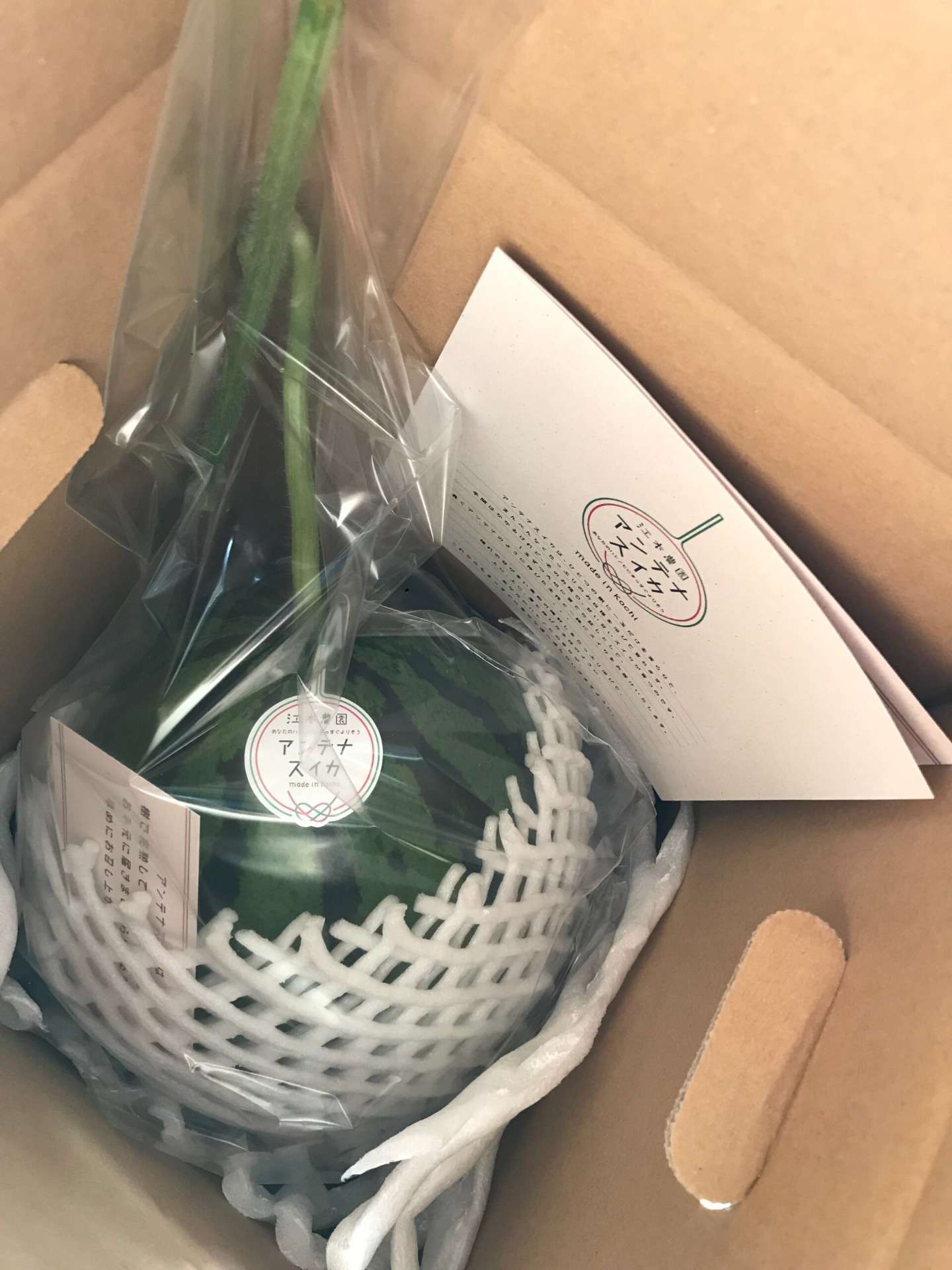 真冬アンテナスイカ®1玉入箱<br>4,000円(税込)