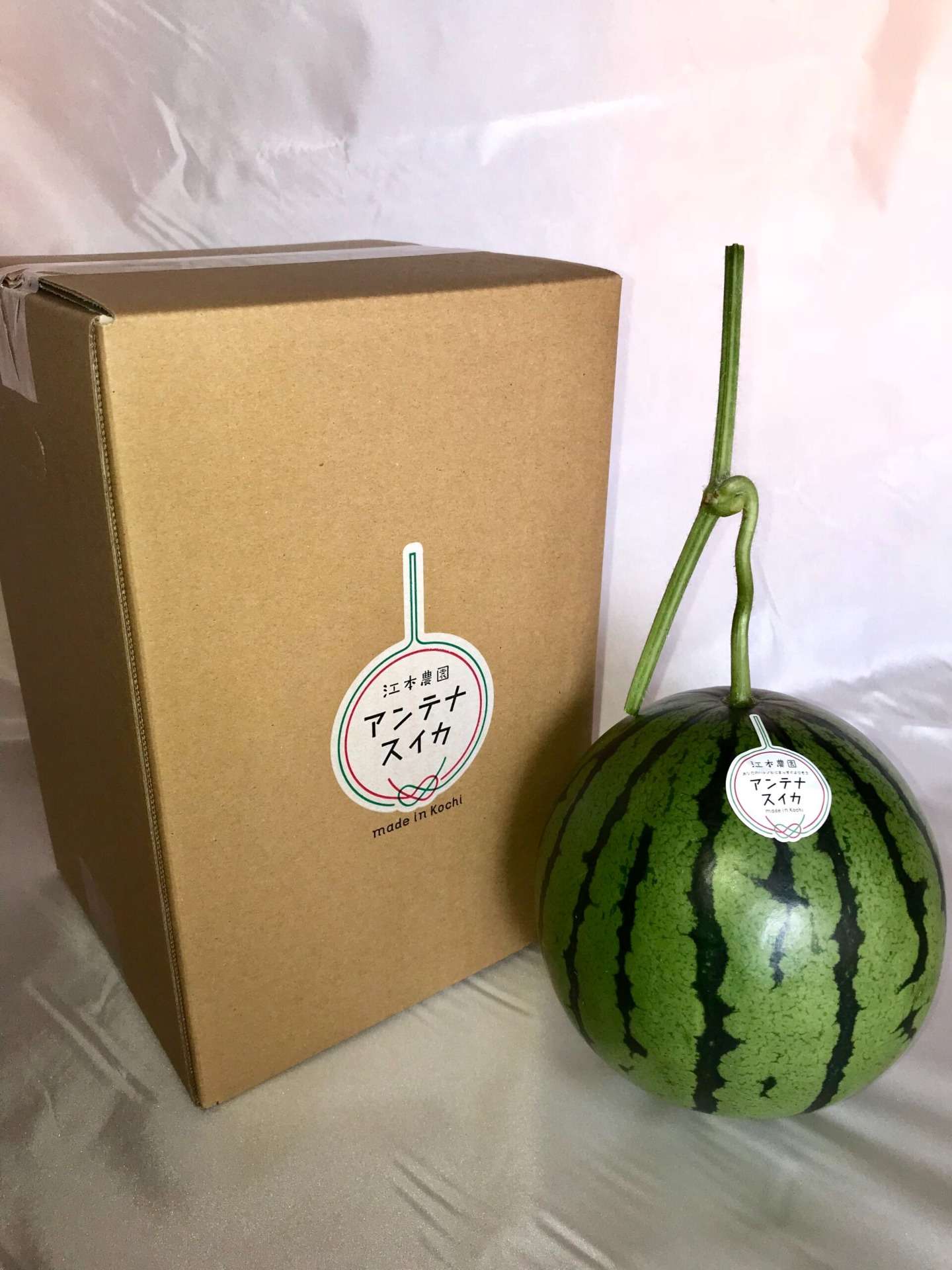 秋アンテナスイカ 1玉入ギフト箱<br>3,400円(税込)