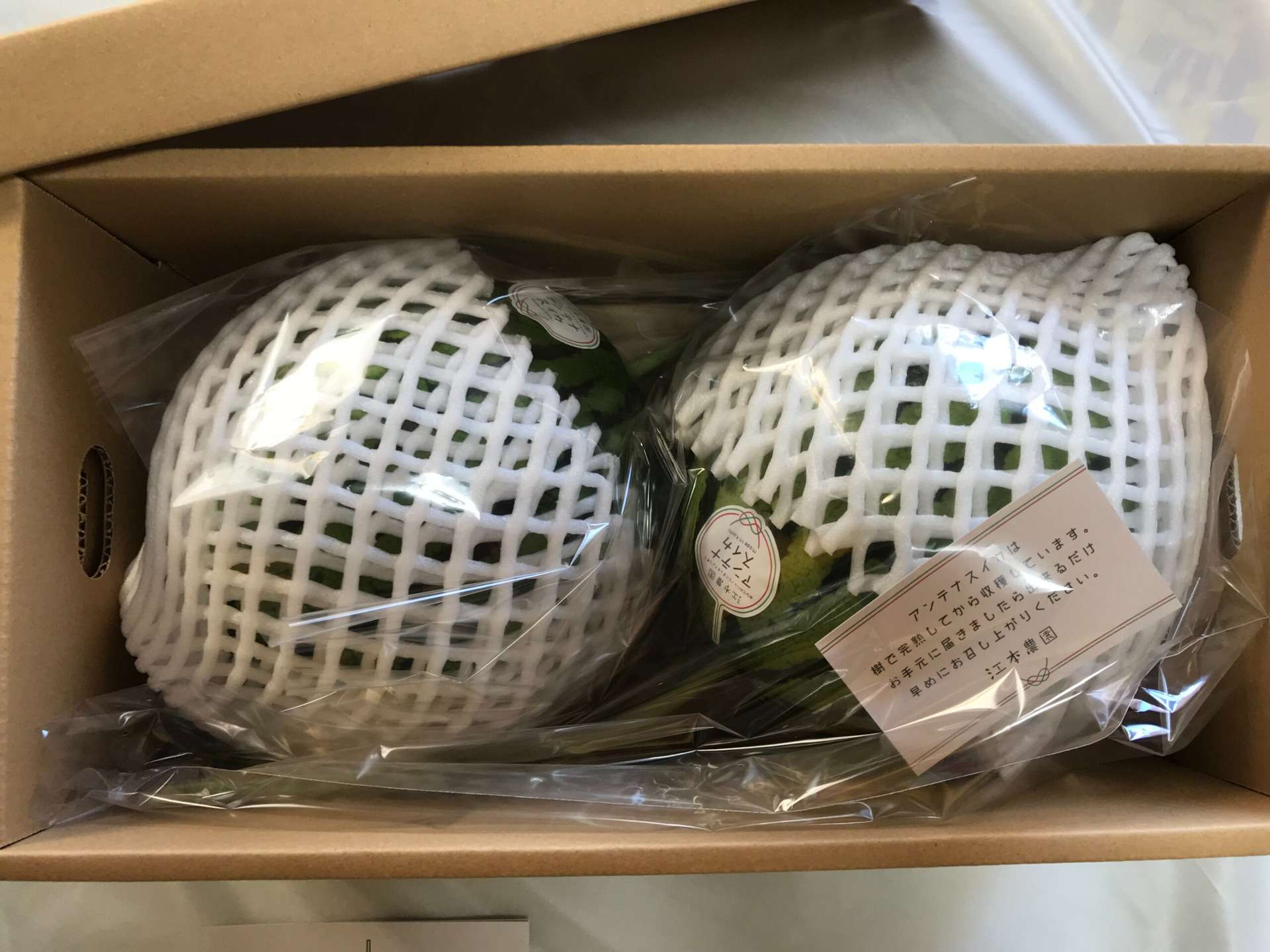 冬アンテナスイカ® 2玉入りギフト箱<br>7,600円(税込)