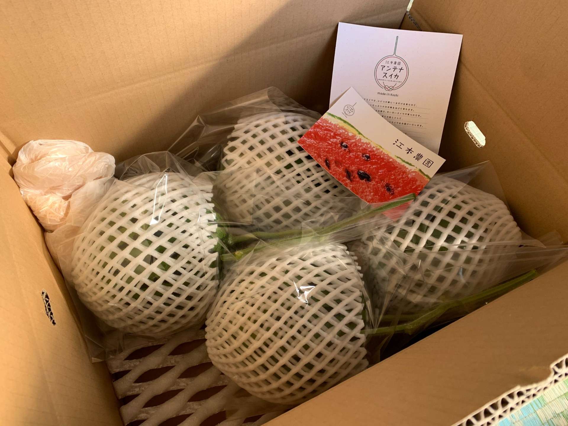 春アンテナスイカ® 4玉入りファミリーBOX<br>13,500円(税込)