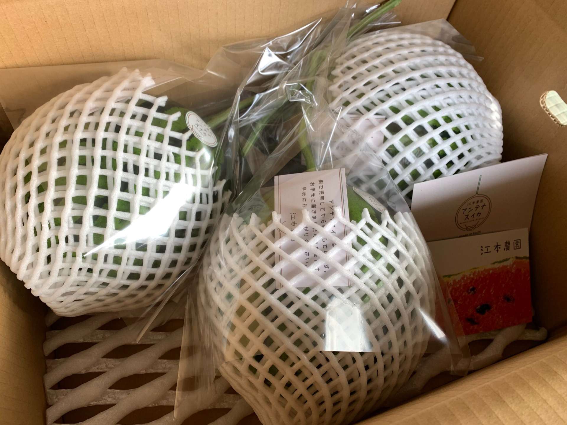 冬アンテナスイカ®特大3玉入り箱<br>10,000円(税込)